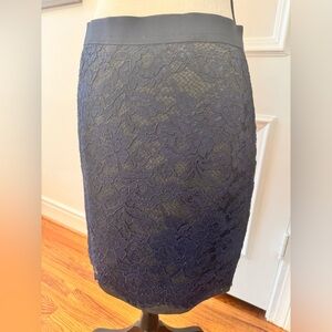 Elegant Navy Lace Skirt